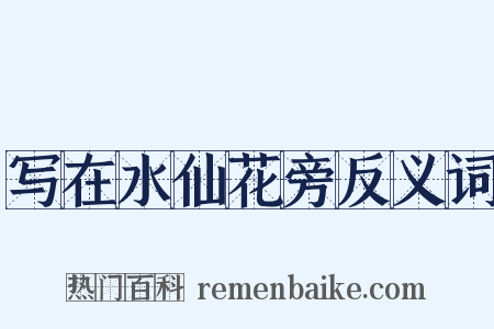 写在水仙花旁反义词是什么意思的图片